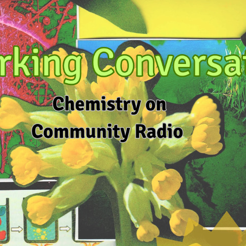 Sparking Conversation: An introduction to Soil Health with Symbiosis Soil Lab