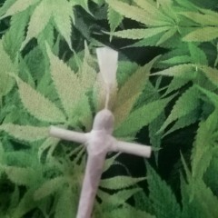 "MMMAKE MMMONEY"      (MONEYFESTATION)