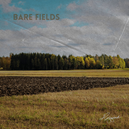 Bare Fields