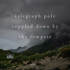 haiku 566: telegraph pole / toppled down by / the tempest