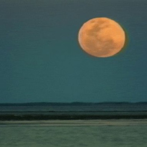 [FREE FOR PROFIT] CHILL/SAD $UICIDEBOY$ X AMBIENT PHONK TYPE BEAT "WHAT LIES BEYOND"