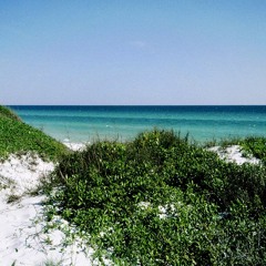 Aleg Zander The Explorer