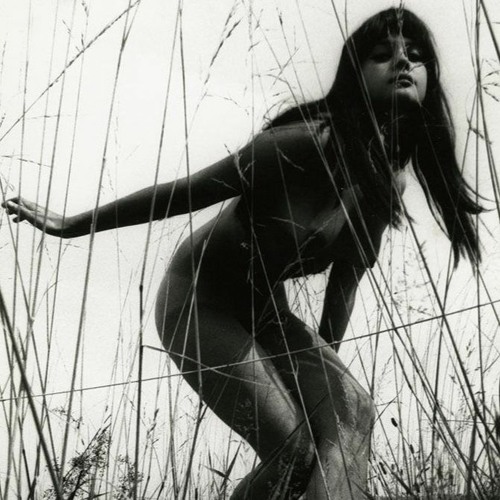 Soft Sounds for Gentle People - 60's Sunshine