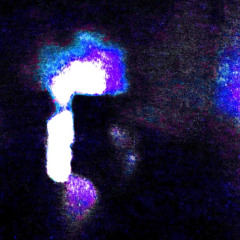 Laughter! [prod. Lngs]