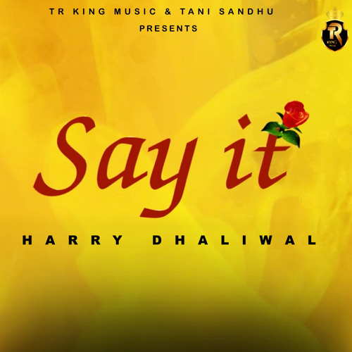 Say it' - Harry dhaliwal- TR King Music