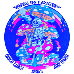 Where Do I Belong? (MERCI Remix) - Disco Lines & Ship Wrek