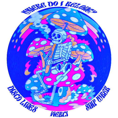 Where Do I Belong? (MERCI Remix) - Disco Lines & Ship Wrek