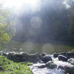 ‎  ‎                     ‎‎                                                  ‎