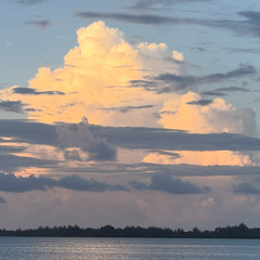 random goofy track lol 😭😭✌️