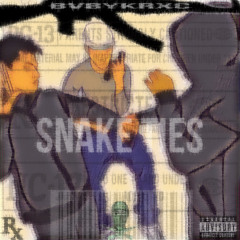Blake Money x BvbyKrxc - Slither House