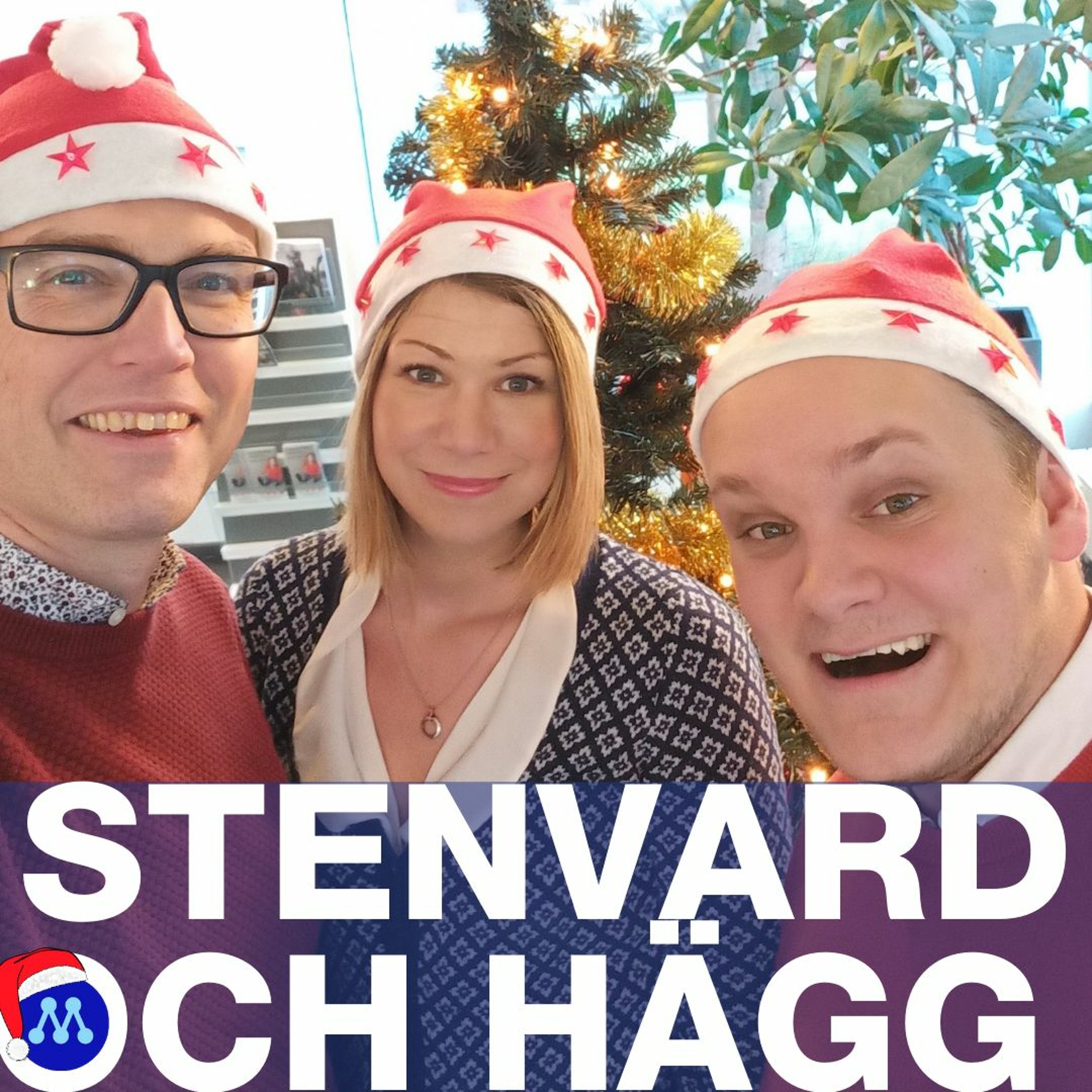 STENVARD & HÄGG