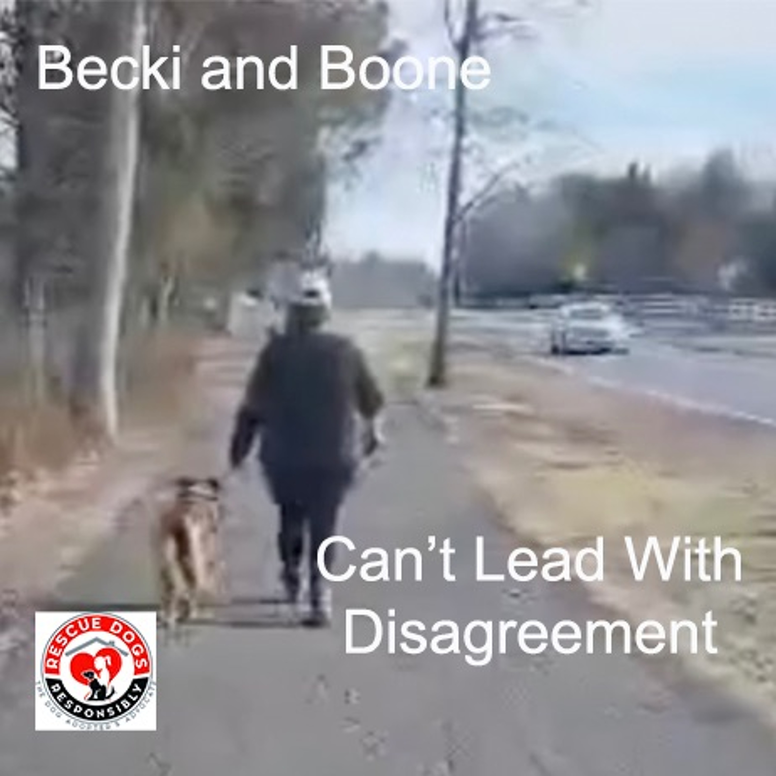What Dogs Have Taught Me