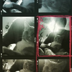 Swallowing Bruises - SoS Remix Ft. Myles Bullen