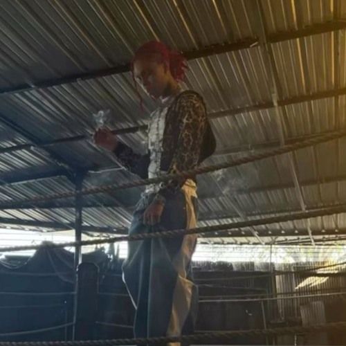 Sofaygo - "Do It Better" Snippet 2024