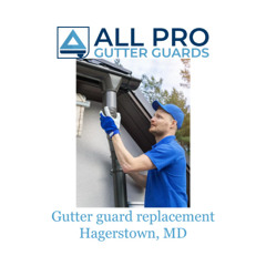 Gutter guard replacement Hagerstown, MD
