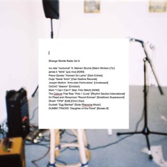 Strange Worlds Radio Vol 3. - Venice FM 99.1 - August 2024