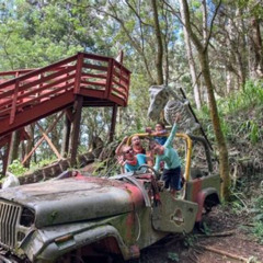 Review Special Price Secret Kauai Canyons & Coastlines Tour