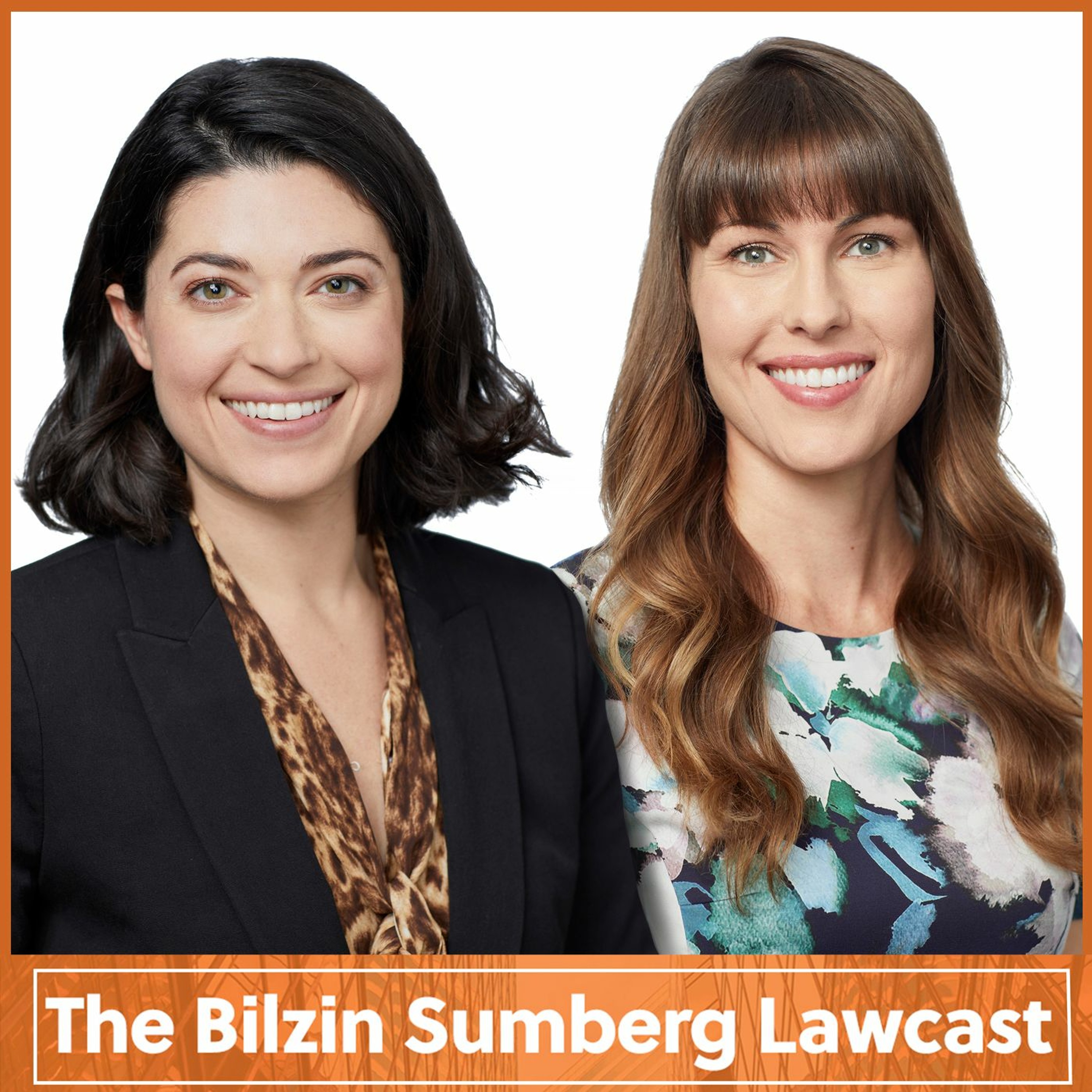 The Bilzin Sumberg Lawcast