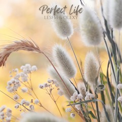 Perfect Life