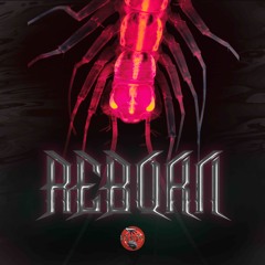 DISTO - REBORN ( master by GRAVE )