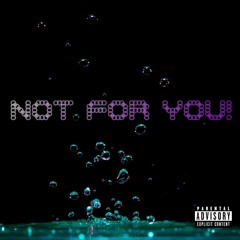 Tommi gunz - Not for you!