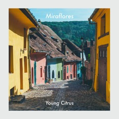 Young Citrus - Te Amo