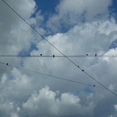 Beats And Plumbs 2020 - Tabby Sensibilities