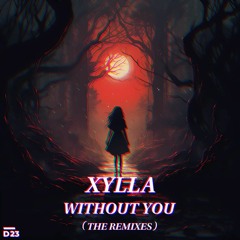 XYLLA - Without You (bd noises remix)