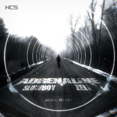 Slowboy, Zeli - Adrenaline [NCS Release]