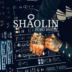 Mixtape Shaolin/  chicagonextlevelclub puro house