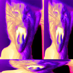 rebirth [Prod. nir7]