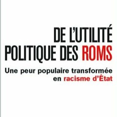 Lire DE L'UTILITE POLITIQUE DES ROMS (ESSAI) (French Edition) PDF - KINDLE - EPUB - MOBI t1IiF