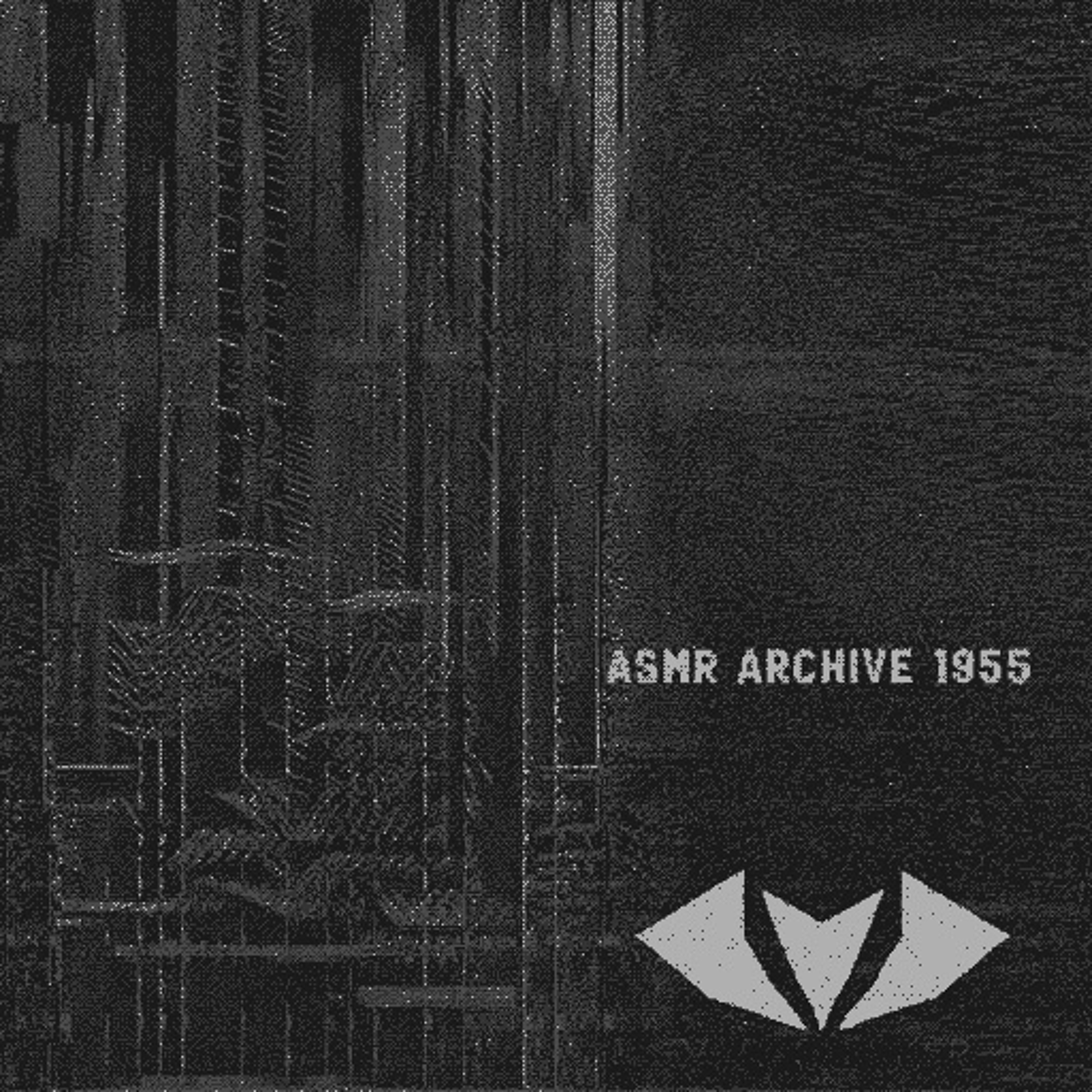 Perforation der Struktur | Lochstreifen No. 5 {ASMR-Archiv 1955} episode artwork