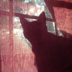 wejustmet (prod.sheepy_kid)