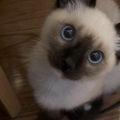 Chicago - Michael Jackson (sped up audio)