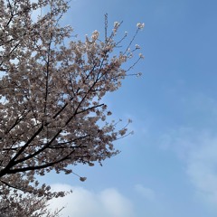 Cherry blossom (Feat. Kon.D)