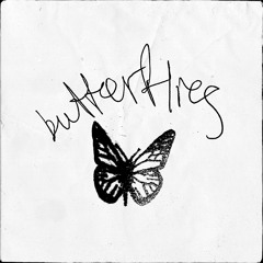 butterflies (sped up)
