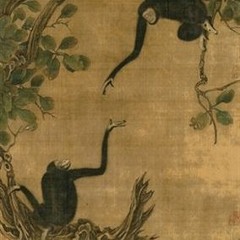 MONKEY#7