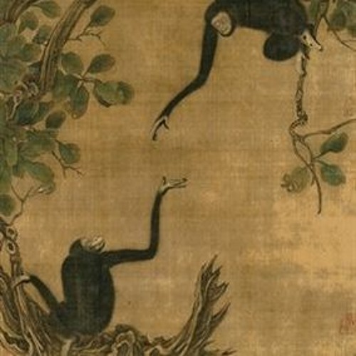 MONKEY#7