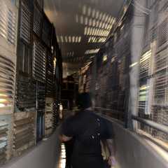 Qing Madi - American Love (WILDJAY & IBZA)