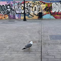 Studio Session - 01.07.2024