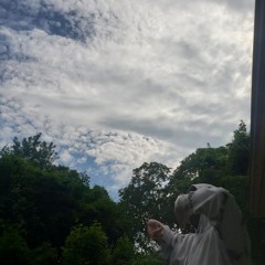 BEAST COAST (420 Followers)