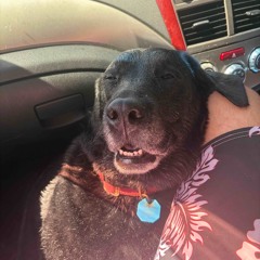 One More Time (Prod. Peril)