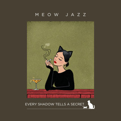 After the Vinyl Ends