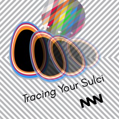 Neuro... No Neuro - Tracing Your Sulci