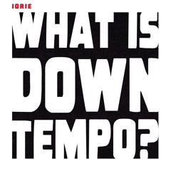 What is Downtempo?