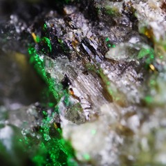 PREMIERE: Not Operated - Axion (S-Limited)