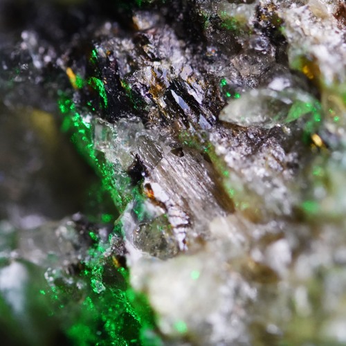 PREMIERE: Not Operated - Axion (S-Limited)