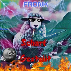 Scharf Gestellt [170BPM HardTekk] - Fr0nK