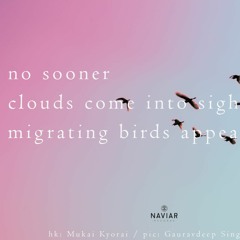 haiku #411: no sooner / clouds come into sight, / than migrating birds appear